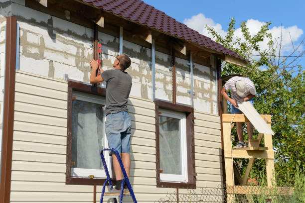 Best Vinyl Siding Installation  in Pine Prairie, LA